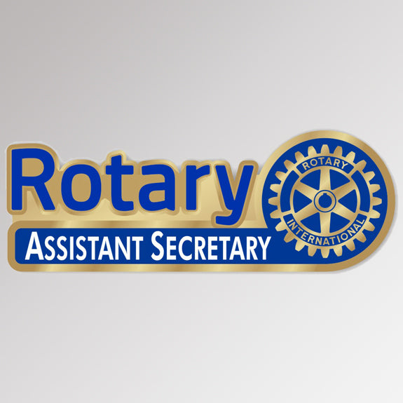 A gold-plated District Assistant Governor Pin featuring Rotary International's Master Brand logo.
