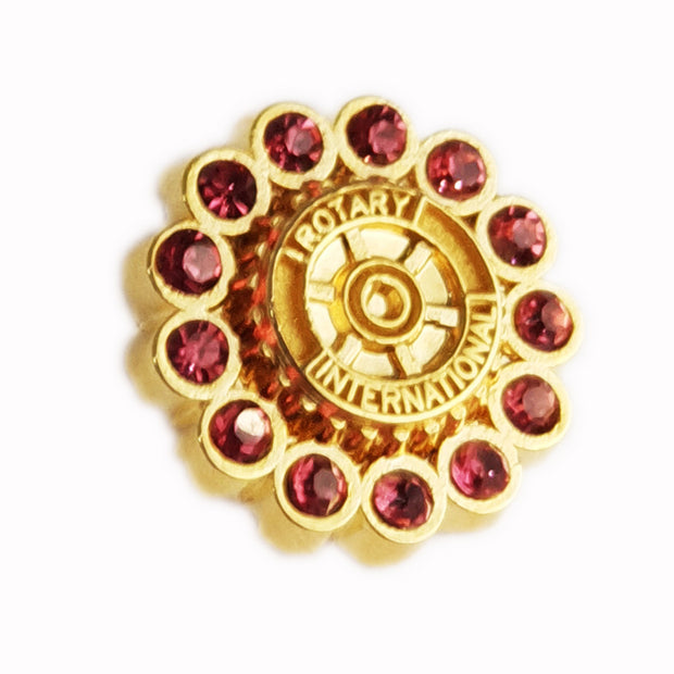 Fancy Rotary Pin, Tej Brothers,  - Rotary International